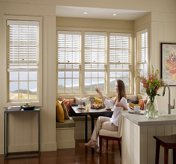 Vision Blinds